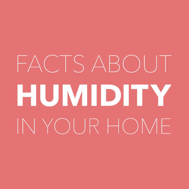 Facts About Humidity In Your Home