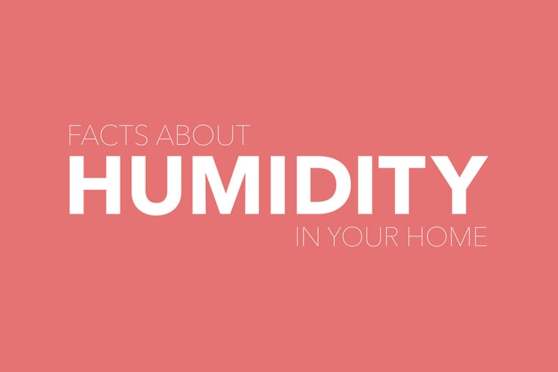 image with dull red background with white text that reads, "Facts About Humidity In Your Home"