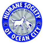 logo-2